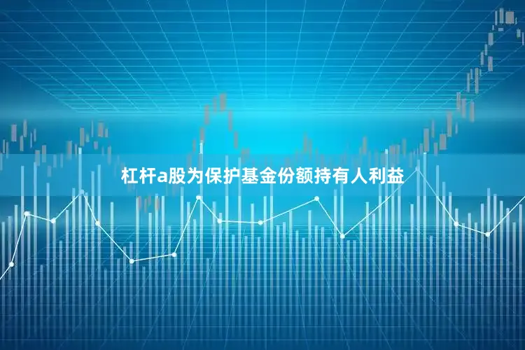 杠杆a股为保护基金份额持有人利益