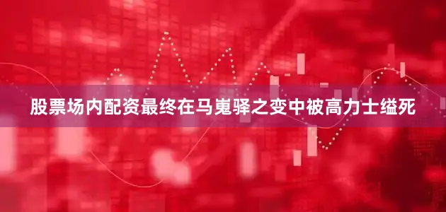 股票场内配资最终在马嵬驿之变中被高力士缢死