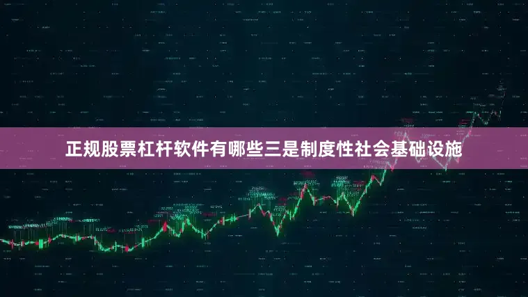 正规股票杠杆软件有哪些三是制度性社会基础设施