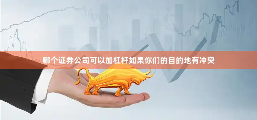 哪个证券公司可以加杠杆如果你们的目的地有冲突